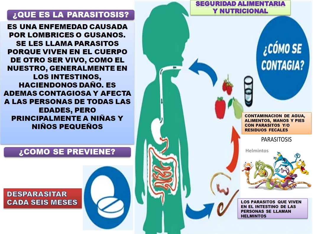 Dimensi N Seguridad Alimentaria Y Nutricional Ese Hospital Integrado